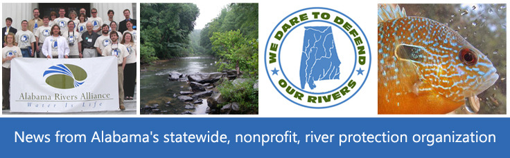 River Report Banner